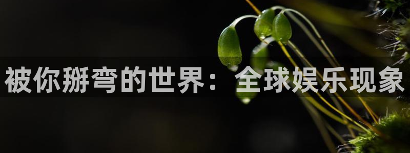 包子漫画在哪下载